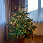 Dom Pod Jaworem Holiday home Rajcza