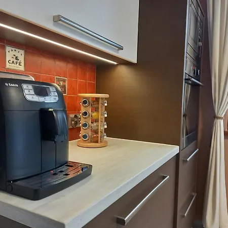 Dom Pod Jaworem Ferienhaus *