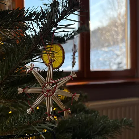 Dom Pod Jaworem Ferienhaus