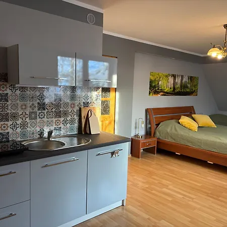 Tatil Evi Dom Pod Jaworem