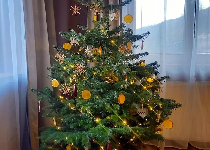 Dom Pod Jaworem Prázdninový dům Rajcza